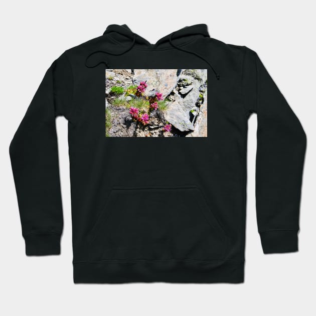 Rock & flowers Swiss Alps Hoodie by Wolf Art / Swiss Artwork Photography